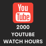 Buy 2000 youtube watch hours